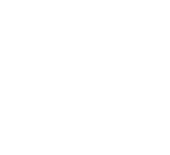 top-logo-img
